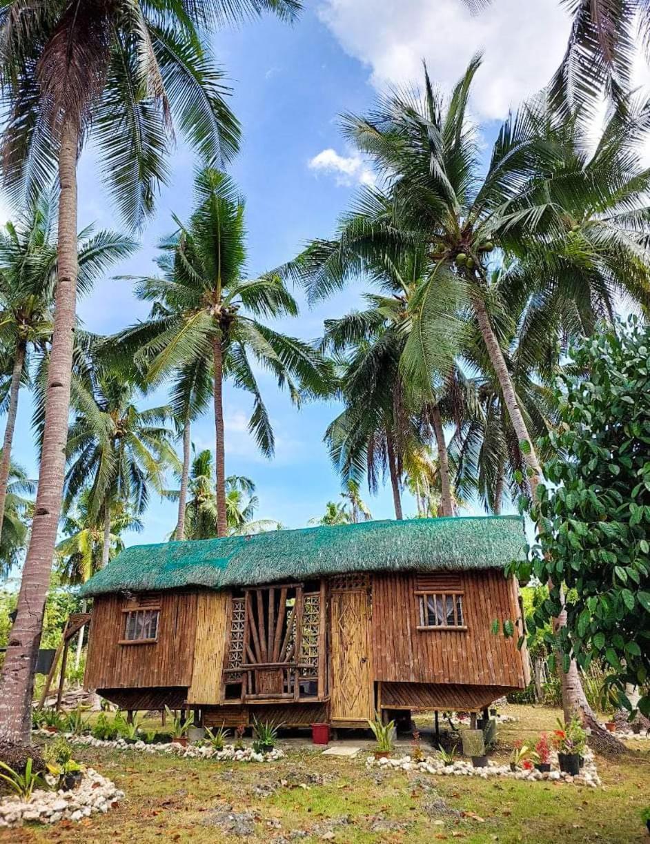 Elvira'S Homestay Looc  Exterior foto