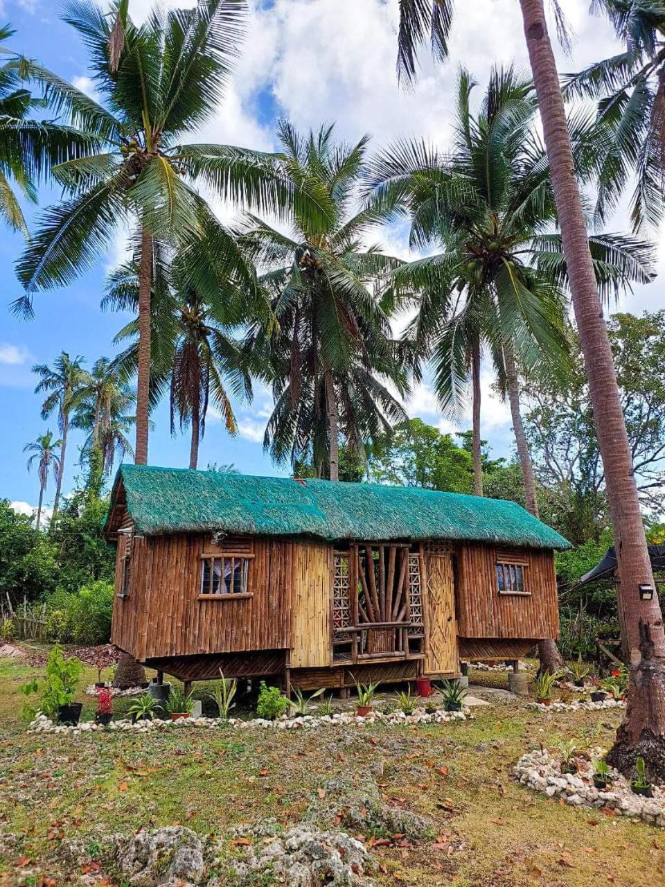 Elvira'S Homestay Looc  Exterior foto